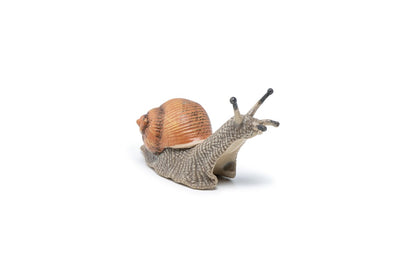 Caracol