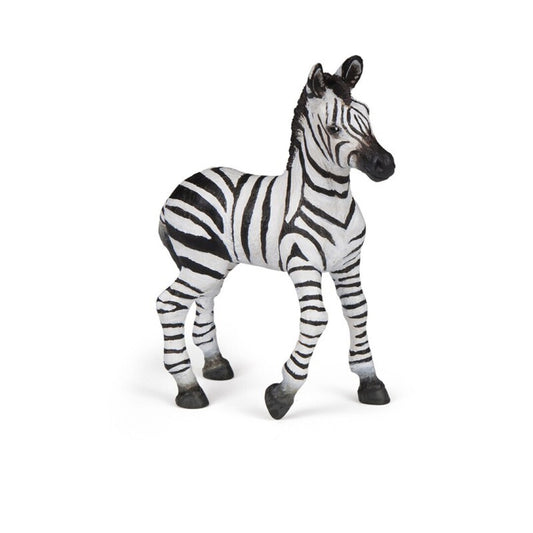 Cria de Cebra