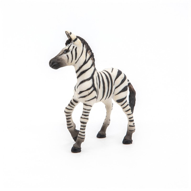 Cria de Cebra
