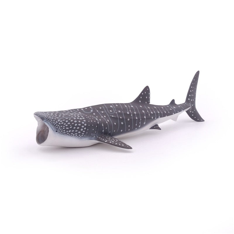 Tiburón Ballena