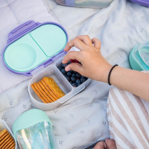 Mini Lunch Box Lila