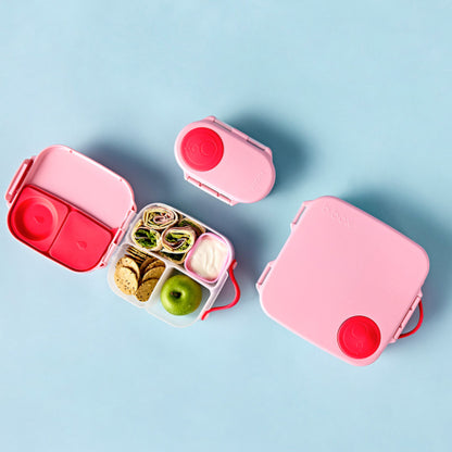 Lunch Box Fuscia