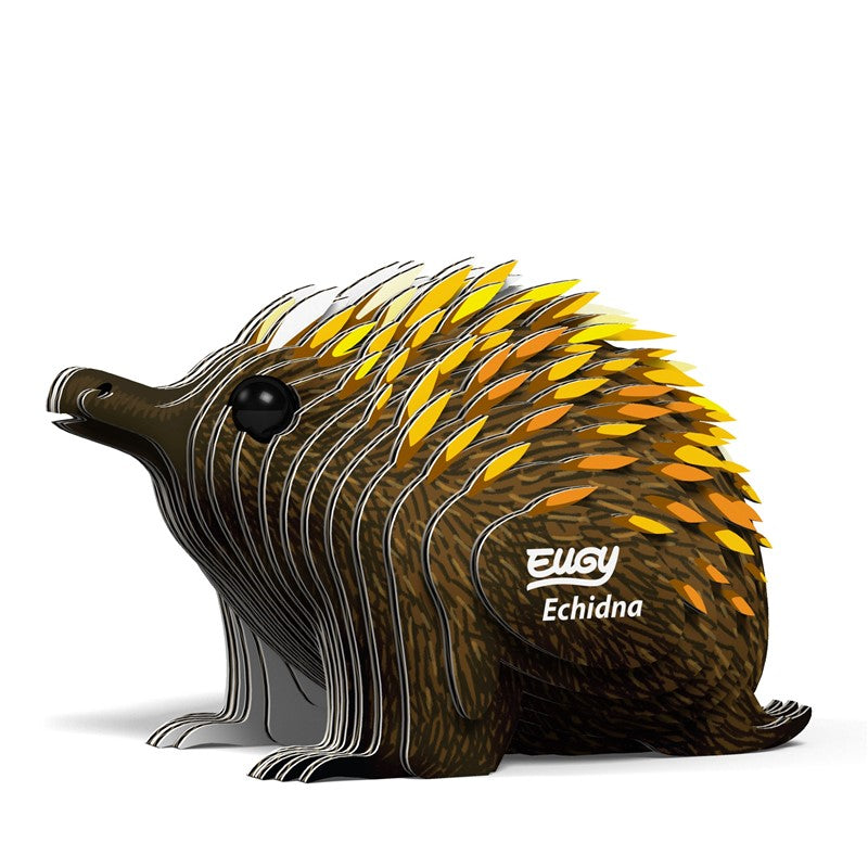 Eugy Echidna 058