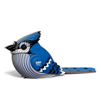 Eugy Blue Jay 067