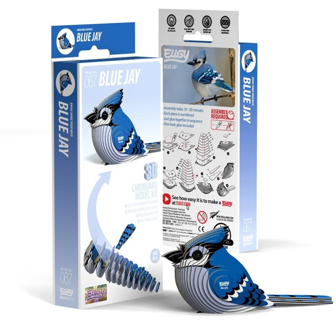 Eugy Blue Jay 067