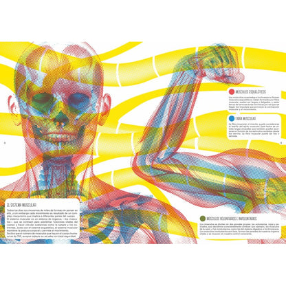 Libros con lentes. El cuerpo humano