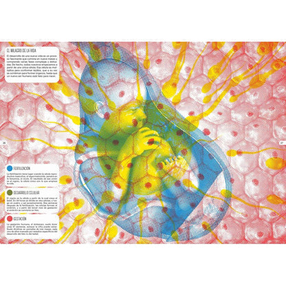 Libros con lentes. El cuerpo humano